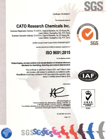 International ISO9001 Certification Certificate Picture